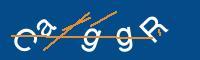 Captcha eingeben