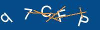 Captcha eingeben