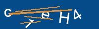 Captcha eingeben