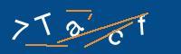 Captcha eingeben