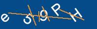 Captcha eingeben