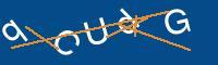 Captcha eingeben