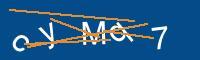 Captcha eingeben