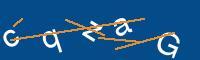 Captcha eingeben