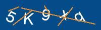 Captcha eingeben