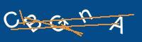 Captcha eingeben