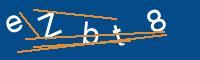Captcha eingeben
