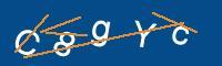 Captcha eingeben