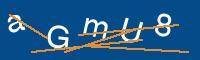 Captcha eingeben