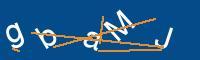 Captcha eingeben