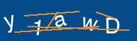 Captcha eingeben
