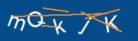 Captcha eingeben