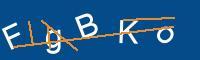 Captcha eingeben