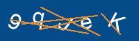 Captcha eingeben