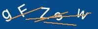 Captcha eingeben