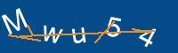 Captcha eingeben