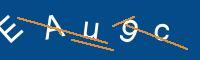 Captcha eingeben