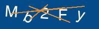 Captcha eingeben