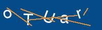 Captcha eingeben