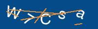 Captcha eingeben
