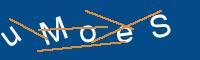 Captcha eingeben