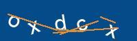 Captcha eingeben