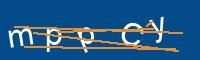 Captcha eingeben
