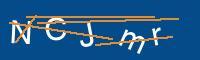 Captcha eingeben