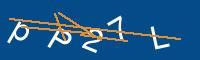 Captcha eingeben