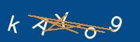 Captcha eingeben