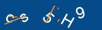 Captcha eingeben