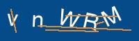 Captcha eingeben