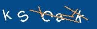 Captcha eingeben
