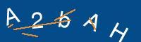 Captcha eingeben