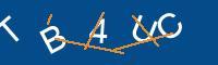Captcha eingeben