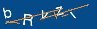 Captcha eingeben
