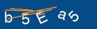 Captcha eingeben