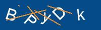 Captcha eingeben