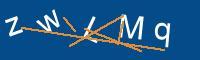 Captcha eingeben