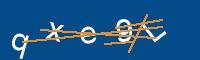 Captcha eingeben