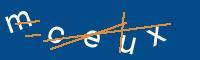 Captcha eingeben