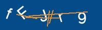 Captcha eingeben