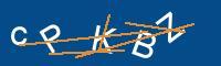 Captcha eingeben