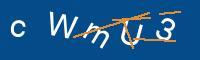 Captcha eingeben