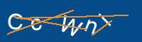 Captcha eingeben