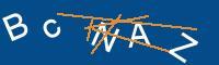Captcha eingeben