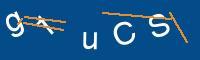 Captcha eingeben