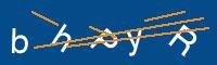 Captcha eingeben