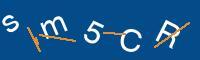 Captcha eingeben