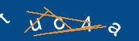 Captcha eingeben